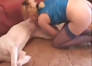 Spoiled wife cannot stop licking and sucking her canine’s pecker