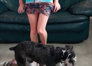 Sexy MILF teaches her pet dog how to deal with her horny cunt
