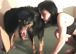 Lonely zoo slut gets pleasured by her pet dog from behind