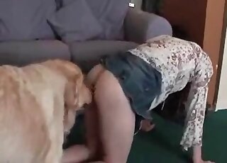 Zoo slut is eager to have sex with her fluffy dog in a zoo sex scene