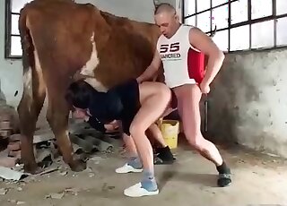 Bitch sucks tits of a cow while her boyfriend is drilling her snatch