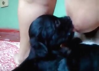 Busty lady gets orgasmic pleasure while puppies suck milf from tits