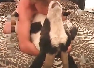 Addicted guy cannot stop fucking his canine as hard as he only can