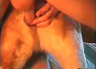 Big-assed dude gives a terrific fuck to his dog from behind