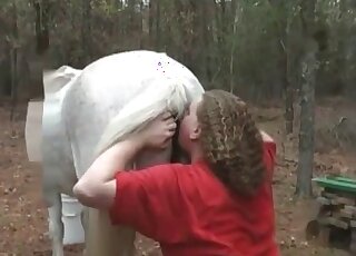 Naughty guy comes up to a nice horse to stuff its pussy with his penis