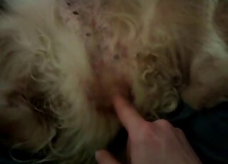 POV fingering zoo porn video with a zoophile and his sexy doggo