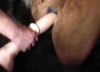 Dude fisting mare pussy in the dark on a farm and using toys