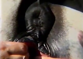 Horse pussy gape video showcasing the insides of a sexy animal