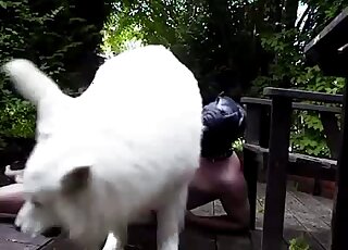 Outdoor facefucking session with a white dog and a gay zoophile