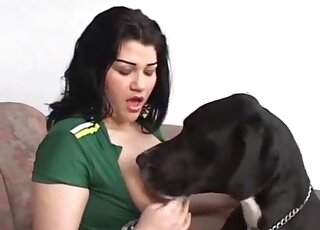 Green get-up brunette opens her legs on a couch to le the dog lick her