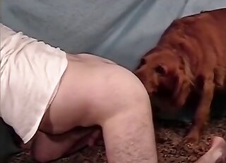 Brown animal fucking a hot zoophile in a white t-shirt on all fours